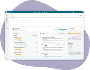 Writing Reports for Webpage